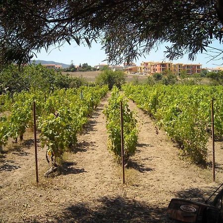 ホテルAgriturismo Crabileddu ヴァッレドーリア エクステリア 写真